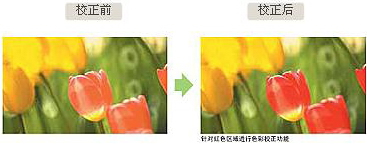 14-bit A/D 转换和 38-bit 数字信号处理电路(DSP),从暗部到亮部都实现了清晰、锐利的图像。