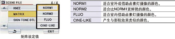 随机附带图像改善技术的小型便携式摄像机,可进行全高清采样和专业调节功能的3MOS系统