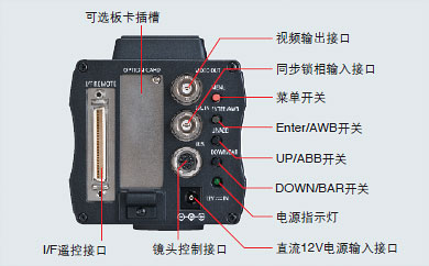 后视图