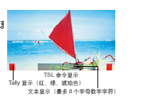 隐藏字幕显示